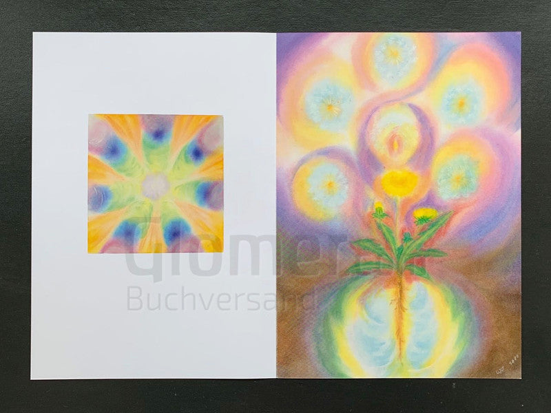 Heilpflanzen für den Kompost