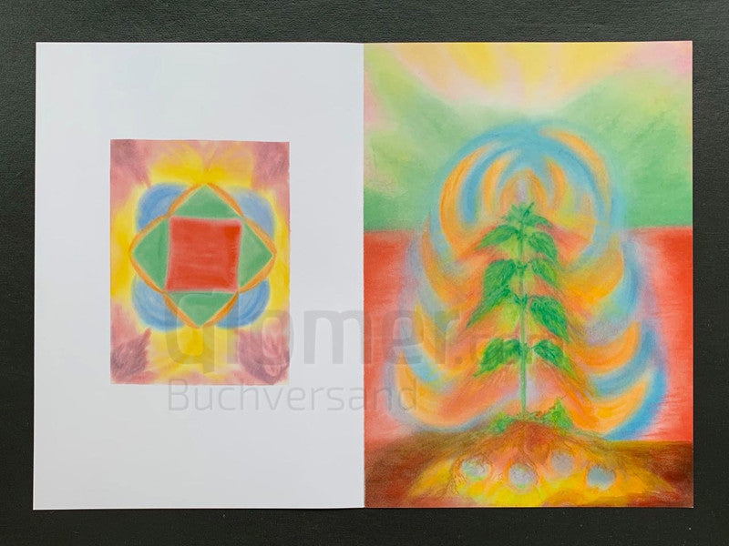 Heilpflanzen für den Kompost