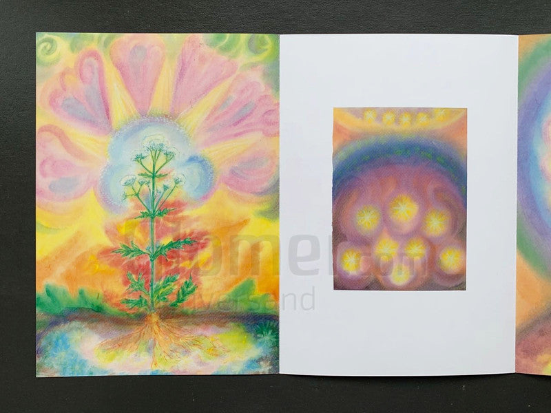 Heilpflanzen für den Kompost