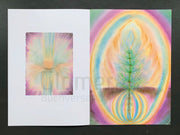 Heilpflanzen für den Kompost