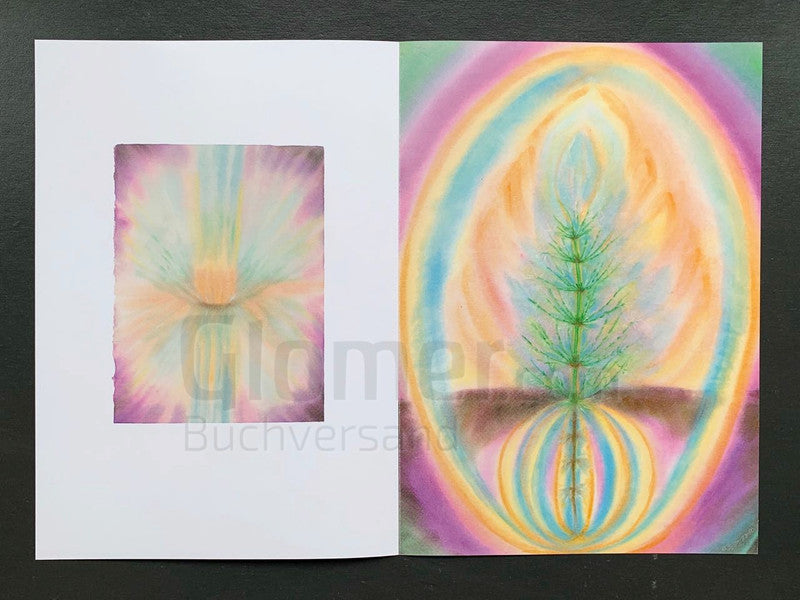 Heilpflanzen für den Kompost