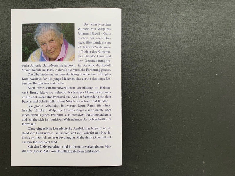 Heilpflanzen für den Kompost