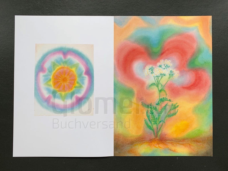 Heilpflanzen für den Kompost