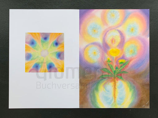 Heilpflanzen für den Kompost