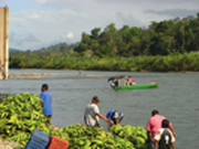 Indios, Inka, Immigranten