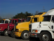 Indios, Inka, Immigranten