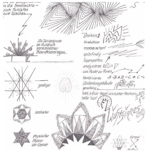 Licht-Sinnes-Organ Von der Waagerechten zur Senkrechten