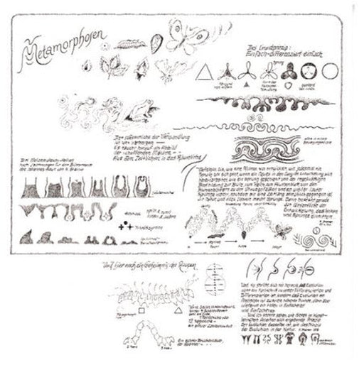 Metamorphosen
