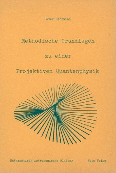 Methodische Grundlagen zu einer projektiven Quantenphysik
