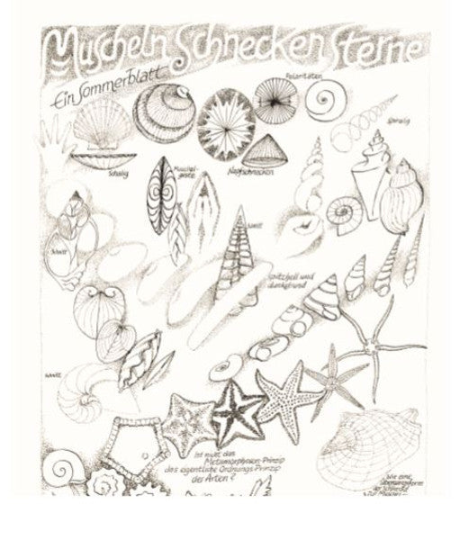 Muscheln, Schnecken, Sterne - Ein Sommerblatt