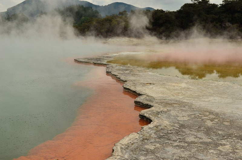 Neuseeland, Papua und Vanuatu