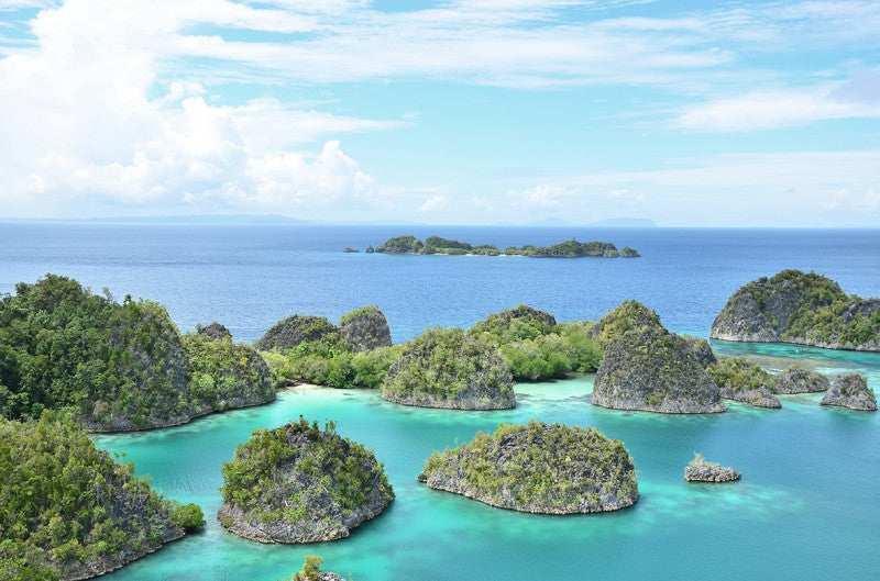 Neuseeland, Papua und Vanuatu