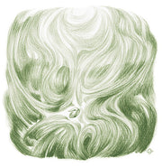 Pflanzenmetamorphose (8 Zeichnungen)