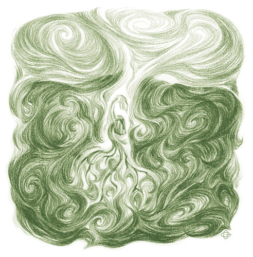 Pflanzenmetamorphose (8 Zeichnungen)