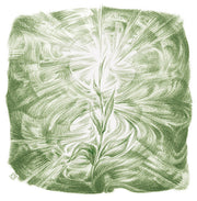 Pflanzenmetamorphose (8 Zeichnungen)