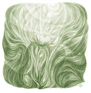 Pflanzenmetamorphose (8 Zeichnungen)