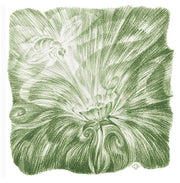 Pflanzenmetamorphose (8 Zeichnungen)