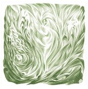 Pflanzenmetamorphose (8 Zeichnungen)