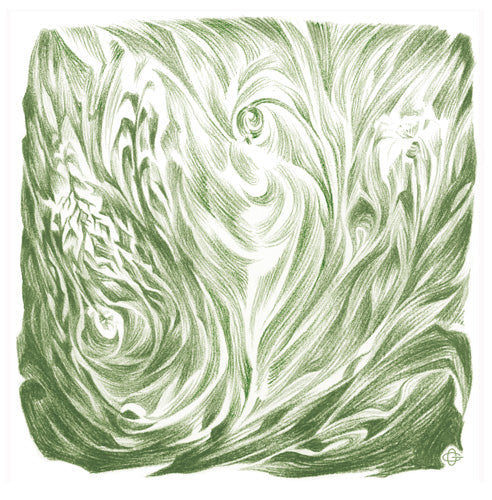 Pflanzenmetamorphose (8 Zeichnungen)