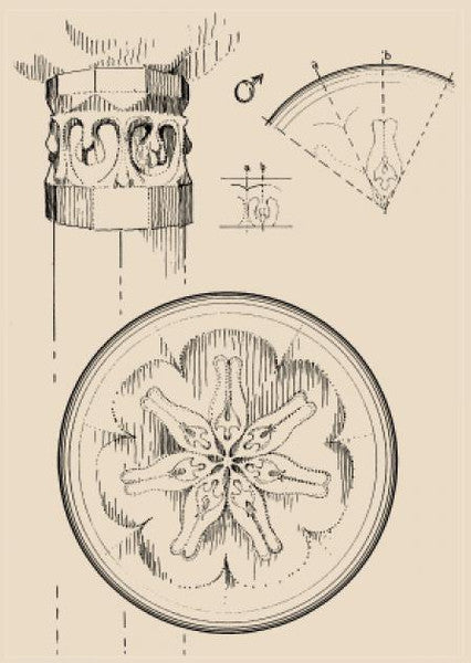 Planeten-Siegel und Planeten-Säulen nach Rudolf Steiner