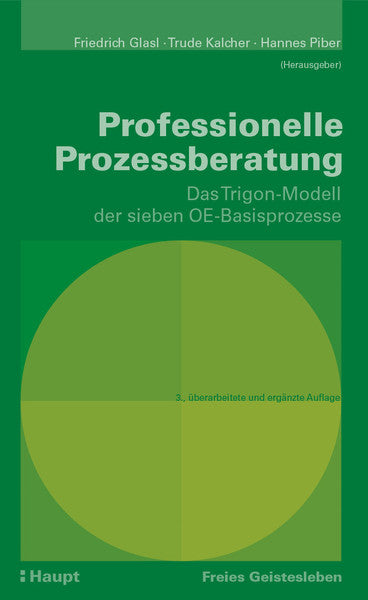 Professionelle Prozessberatung