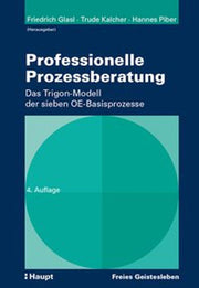 Professionelle Prozessberatung