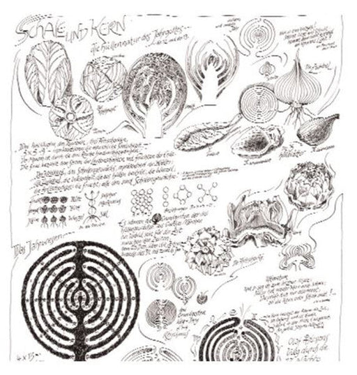 Schale und Kern - die Hüllennatur des Jahresgottes