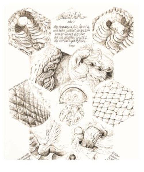 Seeblick oder: alle Gestalten sind ähnlich