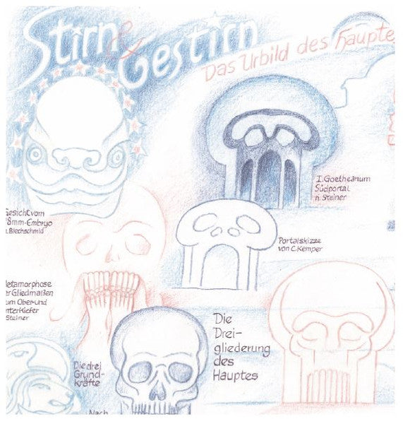 Stirne & Gestirn. Das Urbild des Hauptes