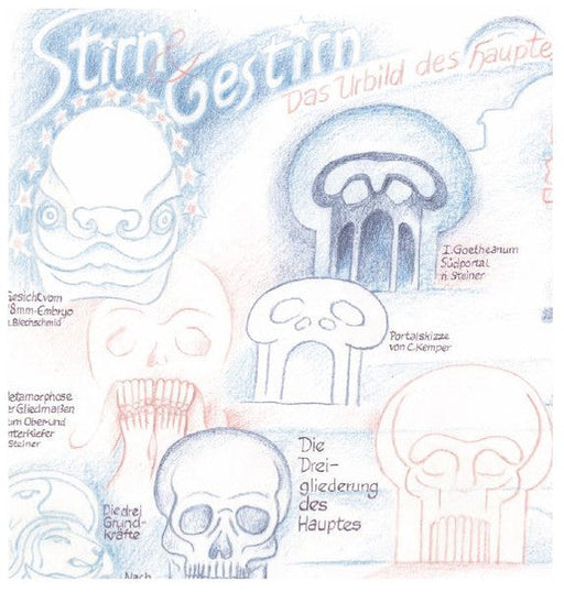 Stirne & Gestirn. Das Urbild des Hauptes