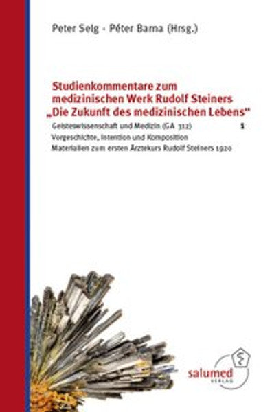 Studienkommentare zum medizinischen Werk Rudolf Steiners "Die Zukunft des medizinischen Lebens" Band 1