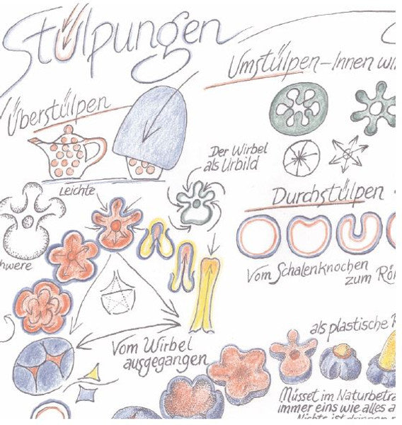 Stülpungen. Überstülpen, Umstülpen, Einstülpen, Durchstülpen