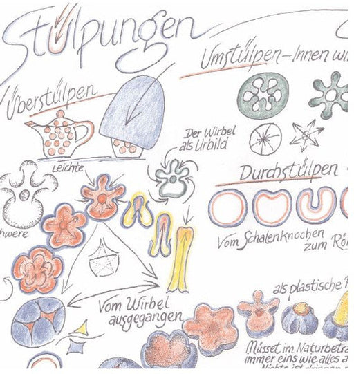 Stülpungen. Überstülpen, Umstülpen, Einstülpen, Durchstülpen