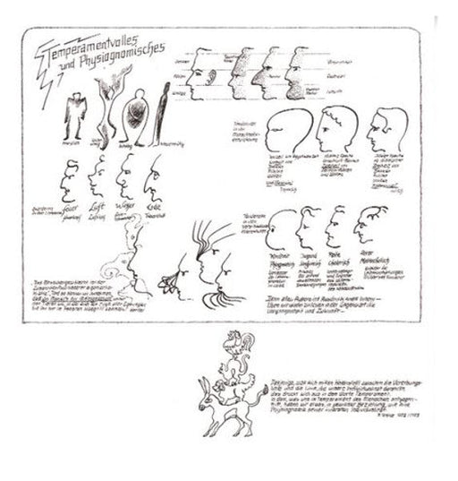 Temperamentvolles und Physiognomisches