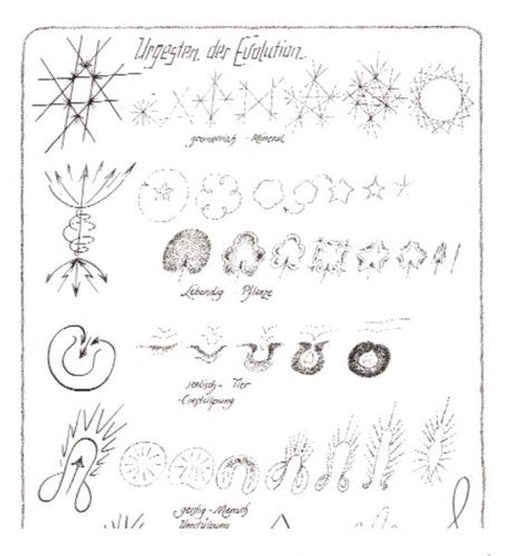 Urgesten der Evolution