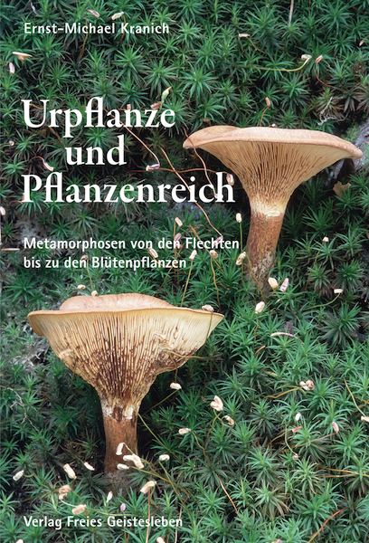 Urpflanze und Pflanzenreich