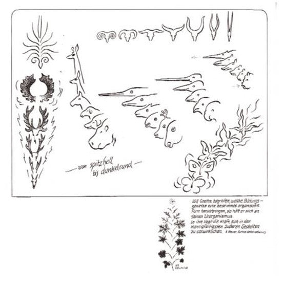 Von spitzhell bis dunkelrund
