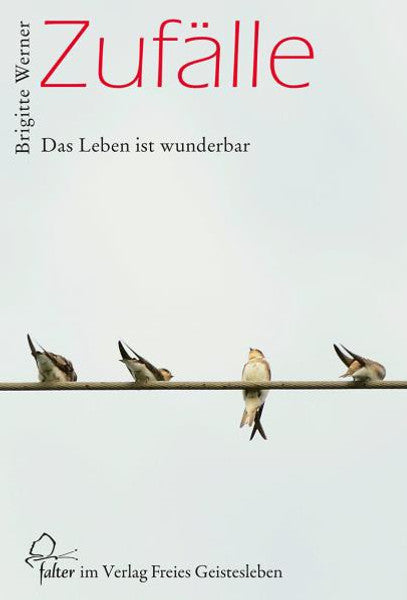 Zufälle: Das Leben ist wunderbar