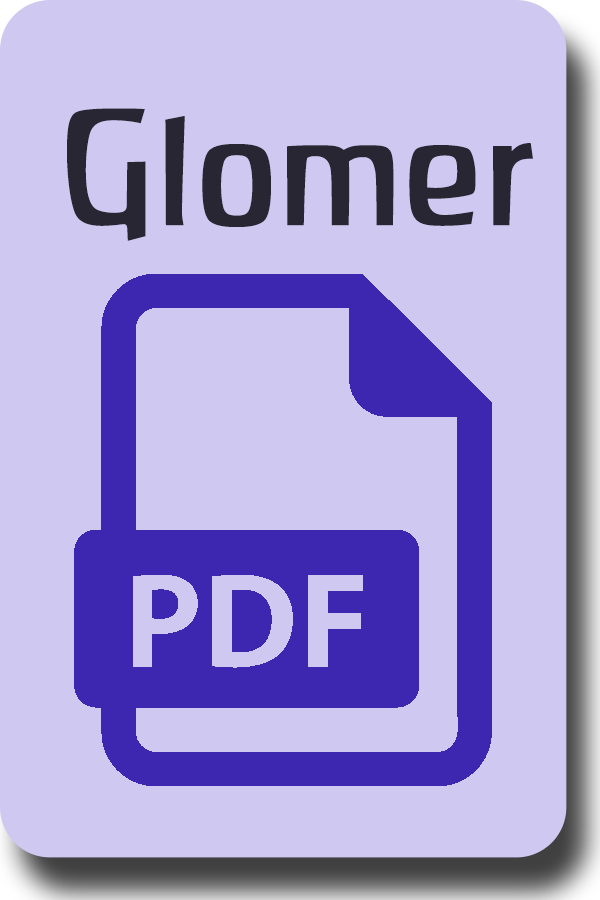 Warum eine kritische Steiner-Ausgabe? (gratis PDF-Download)