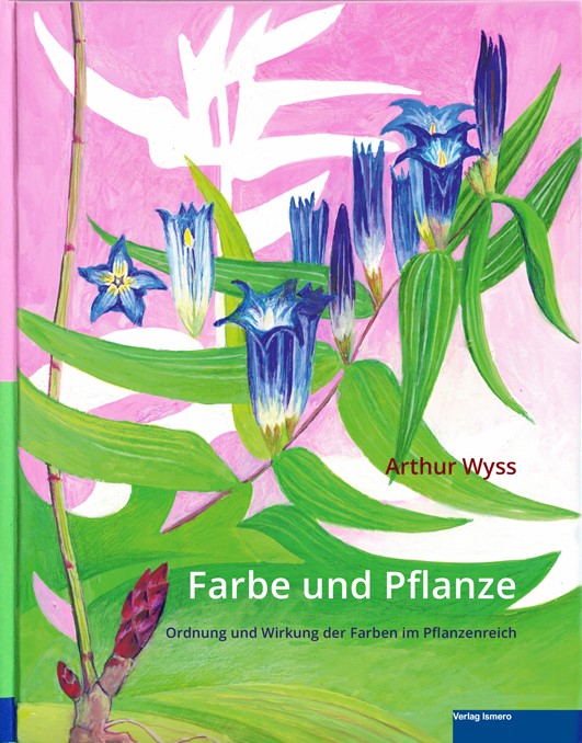 Farbe und Pflanze